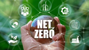 Tìm hiểu về Net Zero: Khái niệm, vai trò và tầm quan trọng toàn cầu