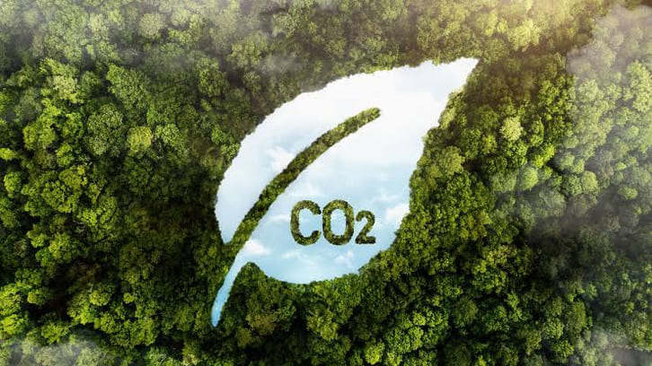 Tín chỉ carbon là gì? Định nghĩa, phân loại và cơ chế giao dịch từ A - Z
