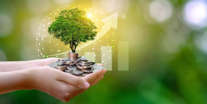 Tín dụng xanh là gì? Làm sao để doanh nghiệp đủ điều kiện vay vốn xanh?