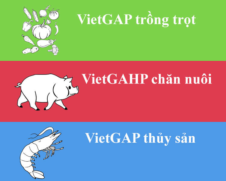 VietGAP là gì? Hiểu đúng tiêu chuẩn nông sản an toàn tại Việt Nam 5 VietGAP được áp dụng cho những lĩnh vực nào?