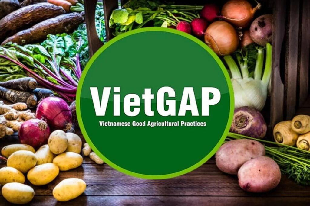 VietGAP là gì? Hiểu đúng tiêu chuẩn nông sản an toàn tại Việt Nam 2 vietgap la gi
