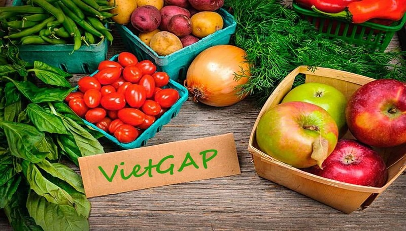 VietGAP là gì? Hiểu đúng tiêu chuẩn nông sản an toàn tại Việt Nam 3 VietGAP có ý nghĩa gì đối với sức khỏe?