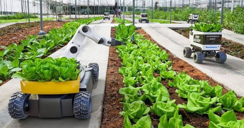 Top 5 ứng dụng công nghệ cao vào chăn nuôi: giải pháp tăng năng suất, giảm rủi ro 5 Robot