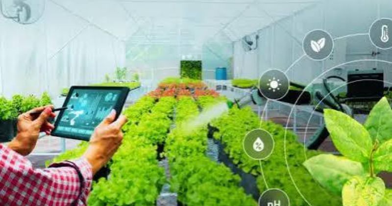 Top 5 ứng dụng công nghệ cao vào chăn nuôi: giải pháp tăng năng suất, giảm rủi ro 2 Ứng dụng công nghệ cao vào nông nghiệp