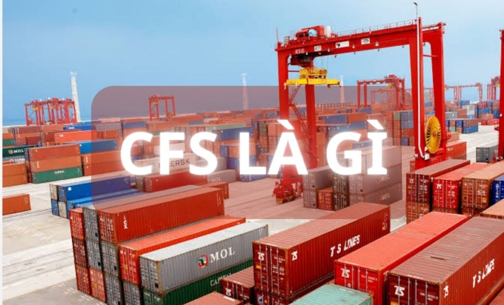 CFS là gì? Quy trình cấp CFS và vai trò trong xuất nhập khẩu 1 CFS là gì? Quy trình cấp CFS và vai trò trong xuất nhập khẩu